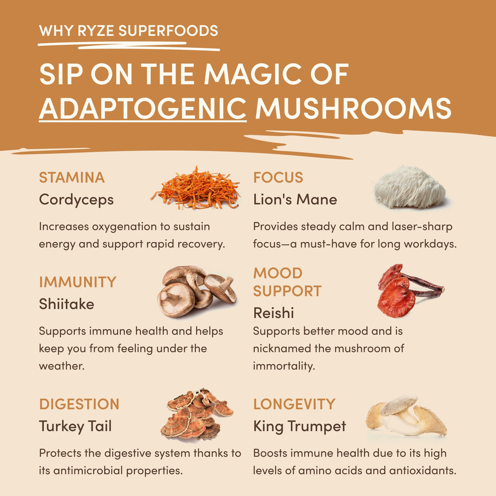 Mushroom Overnight Oats (14 Servings) - for Simple Morning Preparation