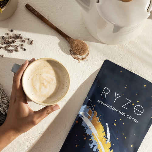 Mushroom Hot Cocoa (20 servings) - for Simple Nighttime Preparation
