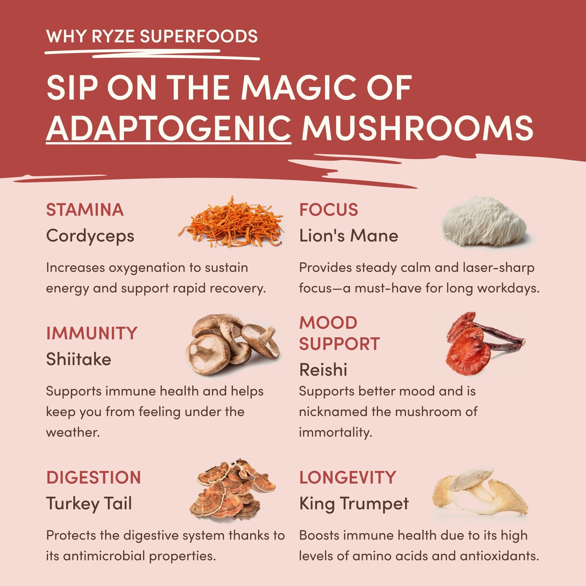 Mushroom Chai (20 Servings) - for Simple Morning or Evening Drinks