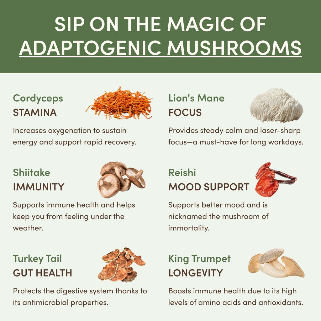 Mushroom Matcha (30 Servings) - for Simple Morning Drink Routines